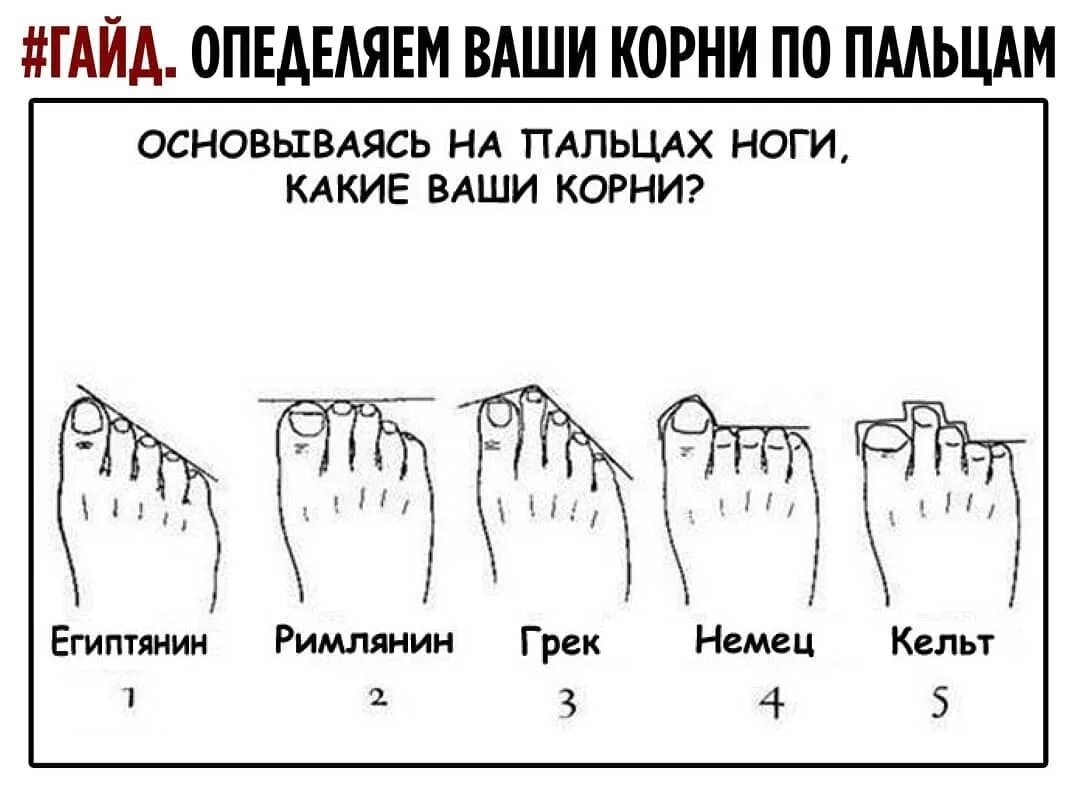 Типы стопы человека. Греческая форма стопы. Форма пальцев на ногах. Тип человека по пальцам ног. Пальцы на ногах виды.