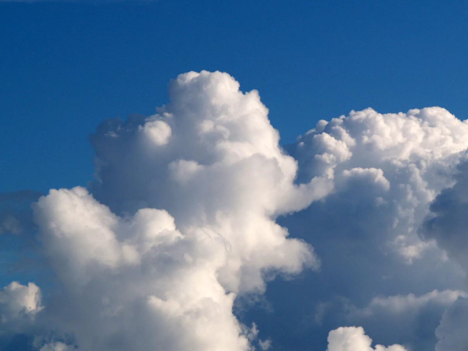 Курились облака. Облака. Пушистые облака. Красивые Кучевые облака. Облако картинка.