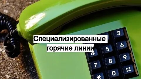 Телефон горячей линии мэрии