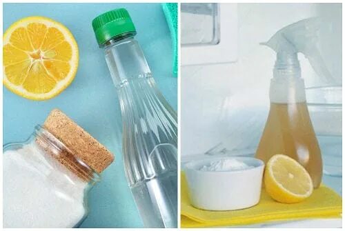 Удаление запаха народное средство. Как избавиться от запаха в холодильнике. как избавиться от запаха в доме. как убрать запах из детской бутылочки.