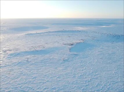 Высокоширотная глубоководная арктическая