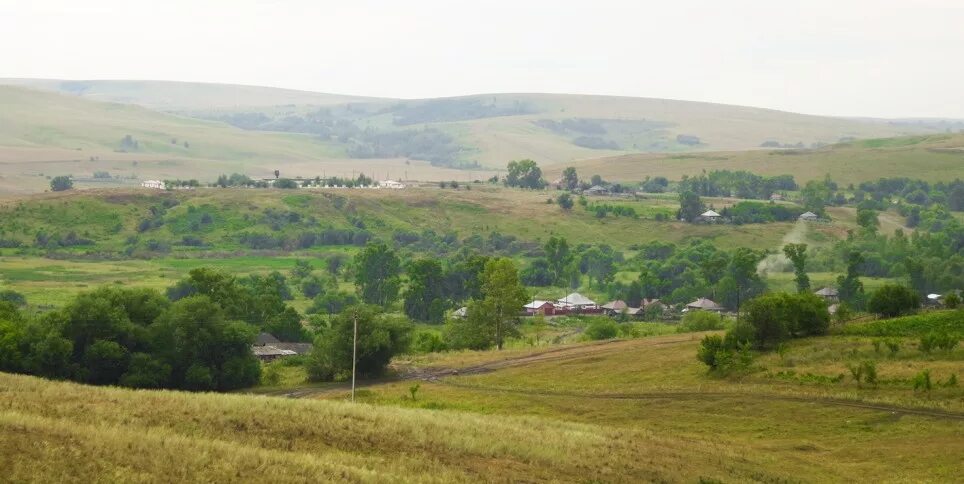 Село Овсянниково Алтайский край. Овсянниково Алтайский край Целинный район. Села Овсянниково Алтайский край Целинный район. Село Овсянниково Целинный район. Погода овсянниково целинный алтайский край