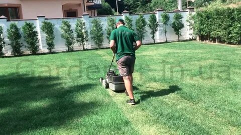 Около восьмисот километров стрижет газон укладка