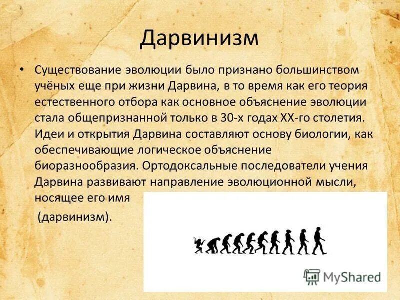 Теория эволюции дарвина схема. Что является фундаментальным следствием признания существования эволюции. Признание теории эволюции. Что является фундаментальным следствием признания существования эволюции. Учение дарвина об эволюции органического мира.