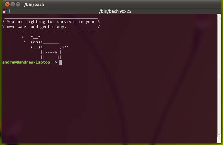 Bash удаление файла. Bash linux. customize bash prompt. calculator на bash linux ubuntu. linux bash красное число.