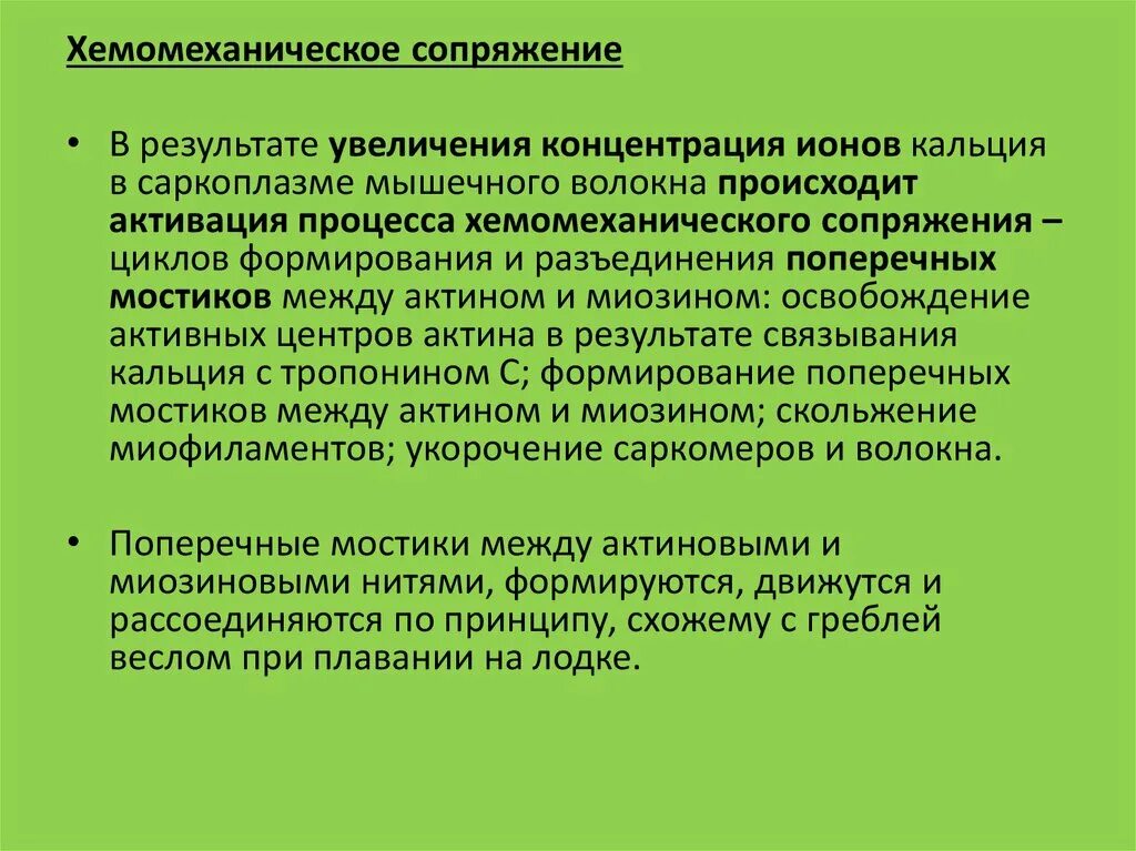 Возникает в результате увеличения. При увеличении концентрации ионов са2+в саркоплазме происходит. В пожилом возрасте в мышечных волокнах концентрация ионов:. Механизмы повышения концентрации кальция в саркоплазме. При повышении кальция в саркоплазме мышечного волокна.