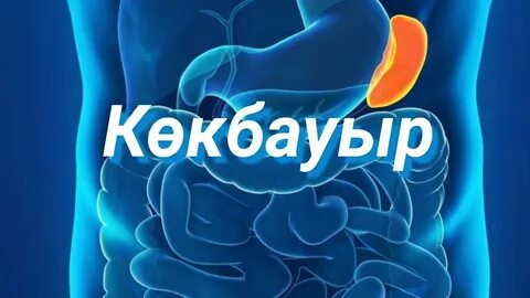 Woodman порно түтік онлайн бейне