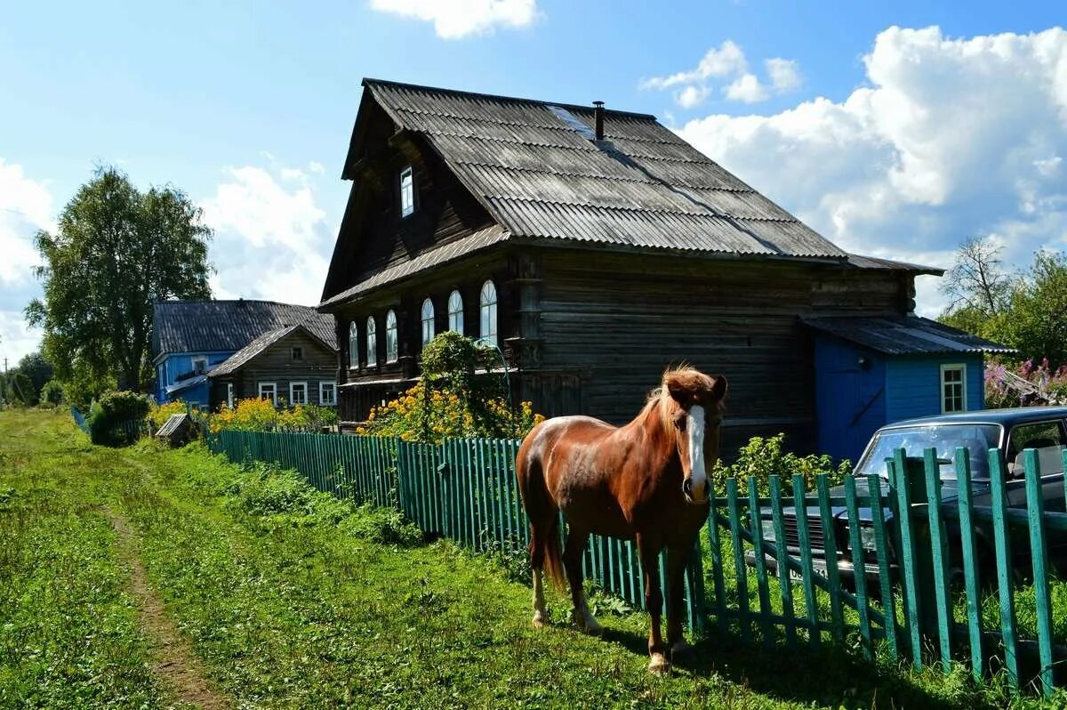 Деревенский официально. Русская деревня. Красивая деревня. Сельская местность. Улица в деревне.