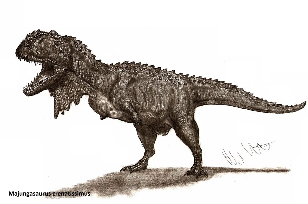 Майюнгазавр. Majungasaurus crenatissimus. Майюнгазавр Раджазавр. Маюнгозавр динозавр. Майюнгазавр и человек.