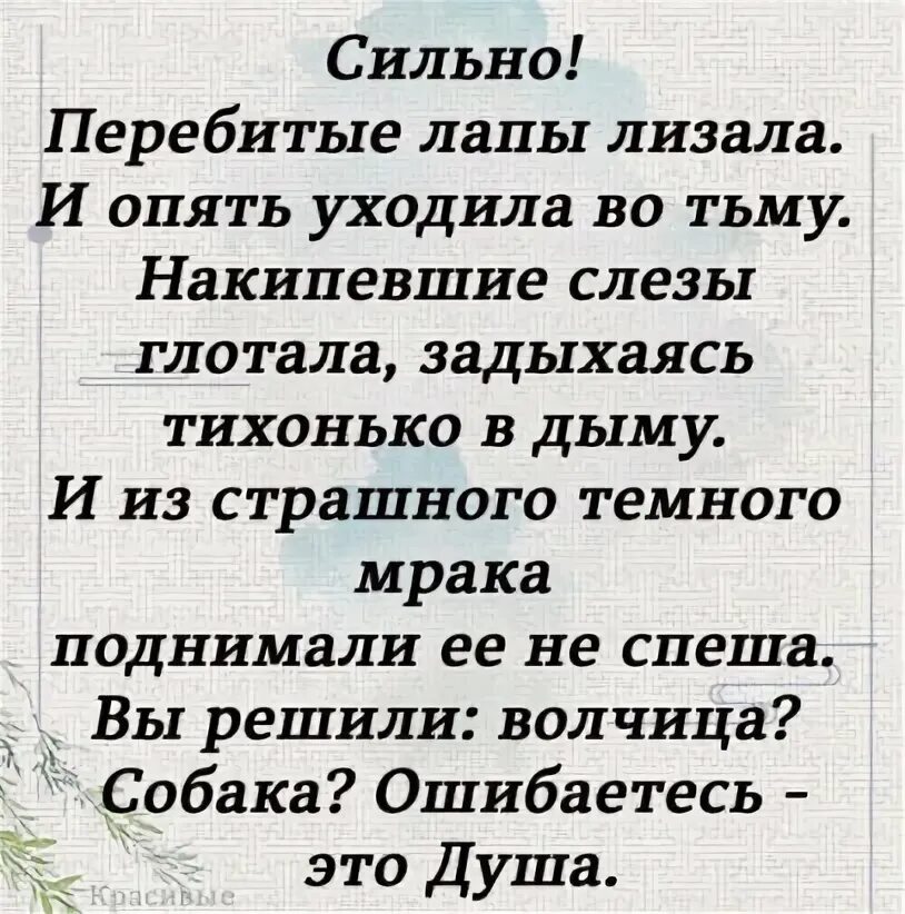Силен строкой