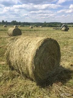 Сено в рулонах с доставкой
