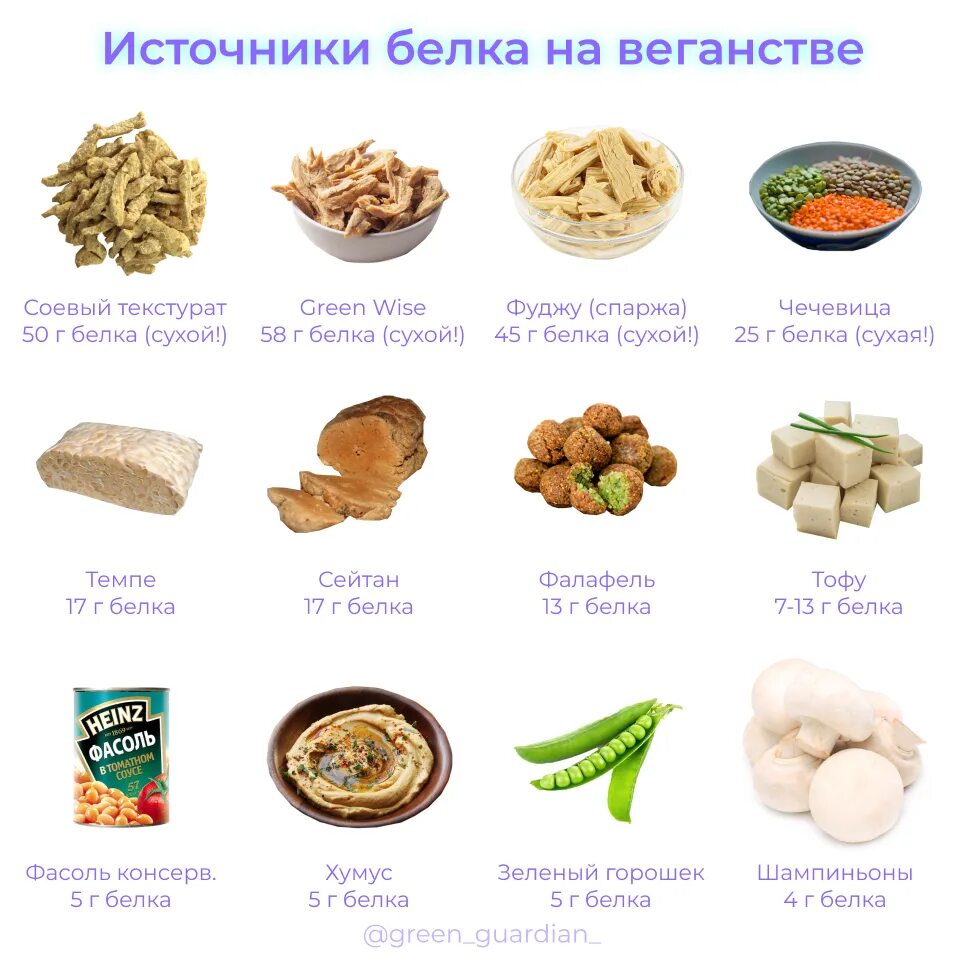 Продукты для вегетарианцев с высоким содержанием белка таблица. Растительные источники белка список продуктов таблица. Содержание белка в растительных и животных продуктах таблица. Источник белок растительный таблица. Самые богатые белком