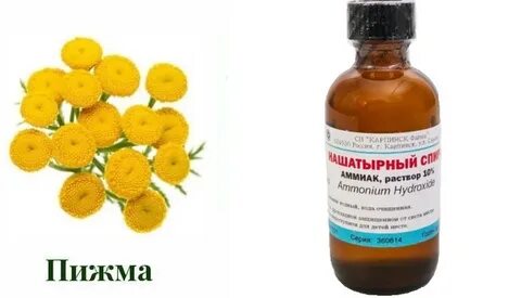 Экстракт пижмы