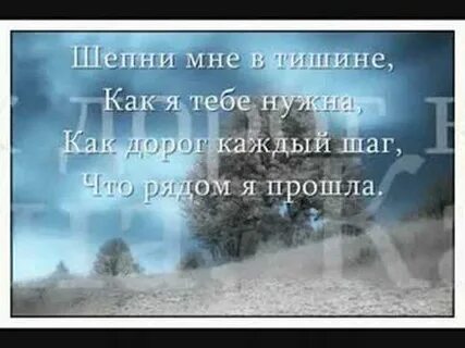 Надо мною тишина
