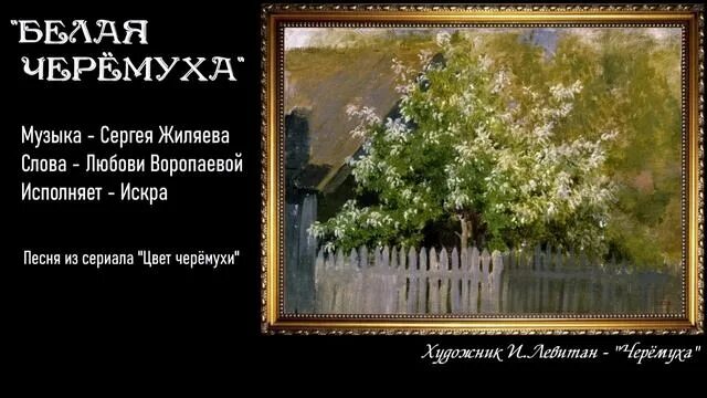 Цветет черемуха песня сумишевский. Черемуха песня. Черёмуха белая песня. Черемуха песня слова. Белый цвет черемухи цвет текст.