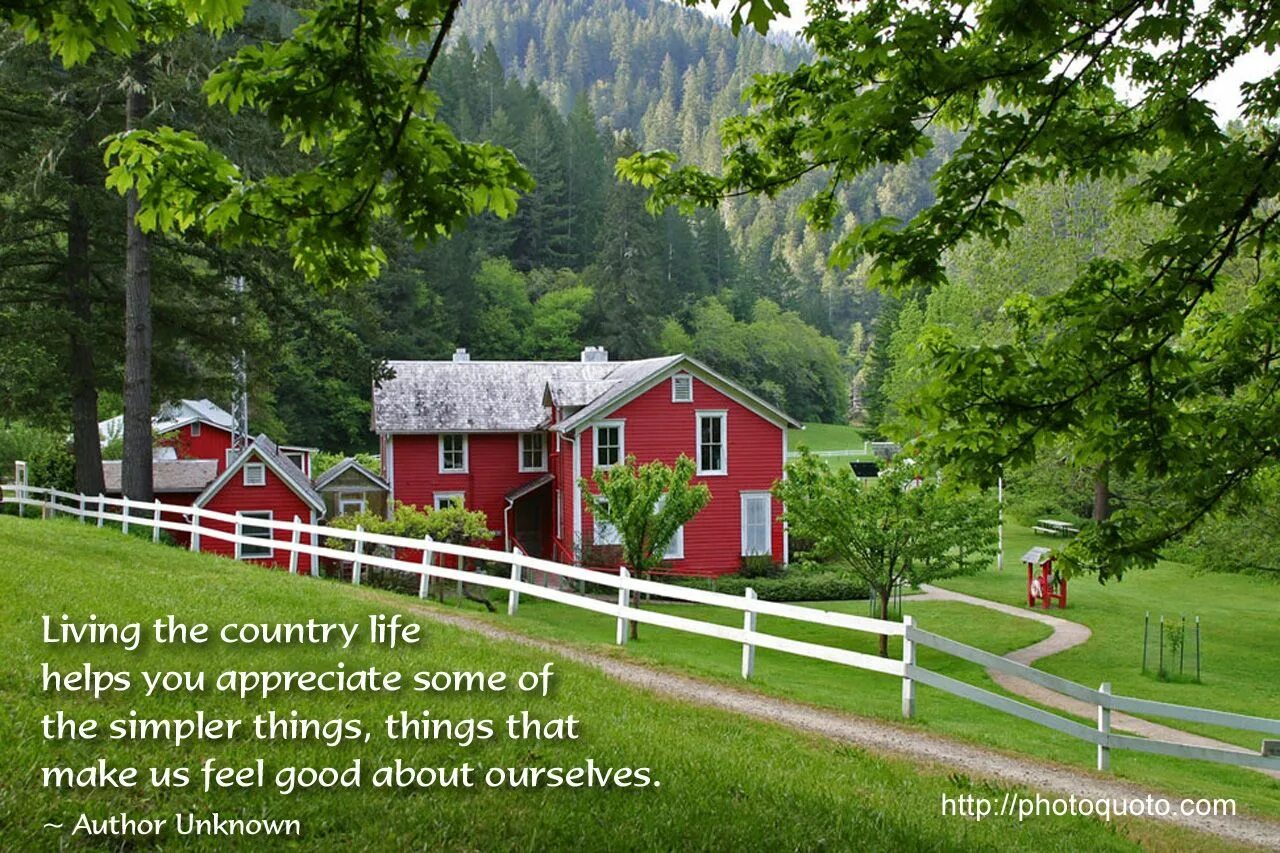 City Life and Country Life. City Life vs Country Life. City Country. Country Life and City Life ЕГЭ английский.