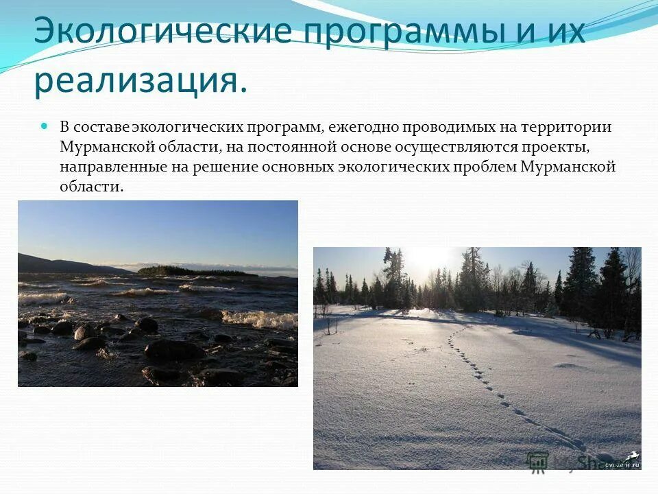 дополнительные экологические программы. эмблема экологов. экологическое воспитание детей подготовительной группы. экологические программы. экологические программы по экологии.