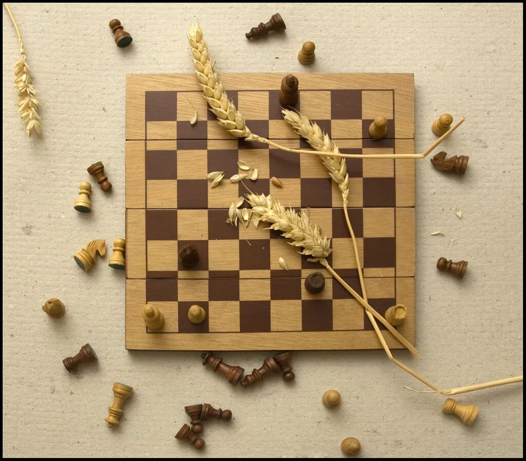 Зерна на шахматной доске. Пшеница на шахматной доске. Легенда о шахматной доске. Пшеничные зерна на шахматной доске.