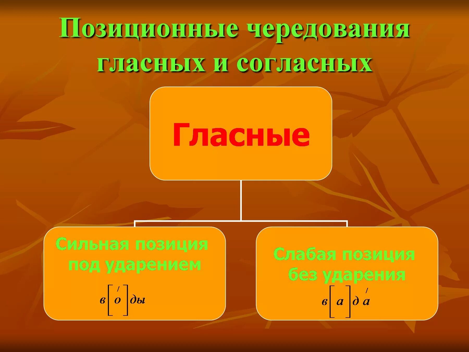 Сильные и слабые гласные