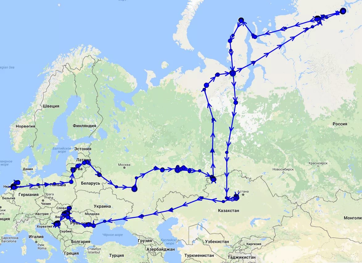 Куда летят гуси весной в россии. Маршрут миграции гусей по России. Путь миграции белолобого гуся в России. Карта миграции белолобых гусей. Карта миграции гусей в России.