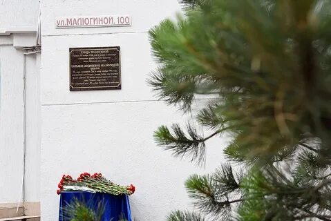Малюгина 220 ростов на дону