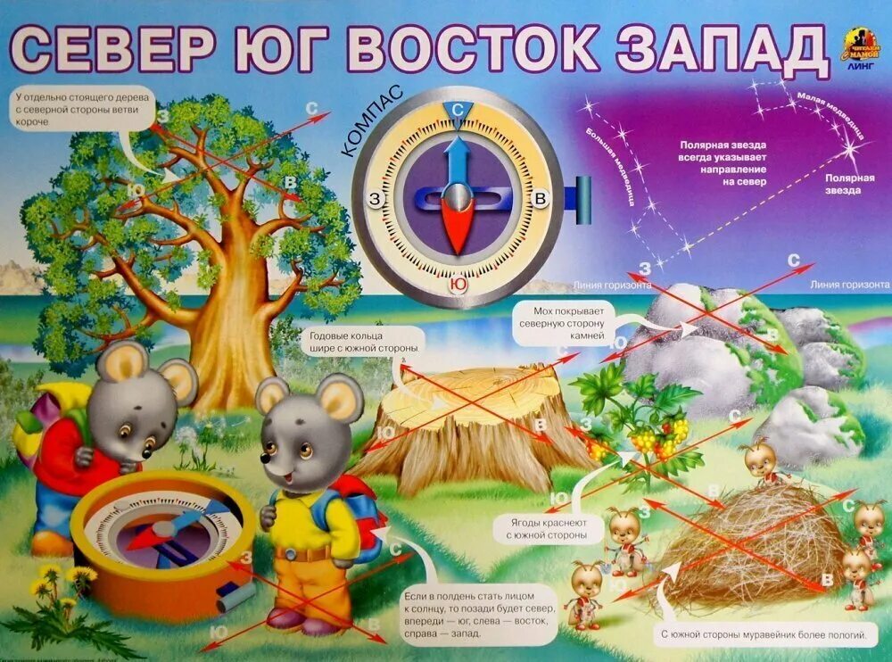 Где находятся плакаты. Стороны света для детей. Стороны света для дошкольников.