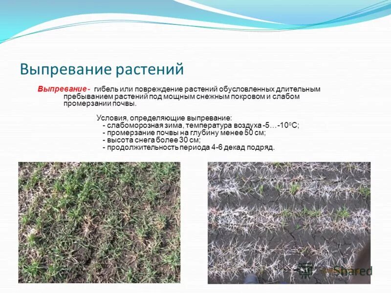 компостирование органических отходов процесс. культура и цивилизация. изменения в поведении примеры. источники корпоративного права. характер формируется и развивается под влиянием.