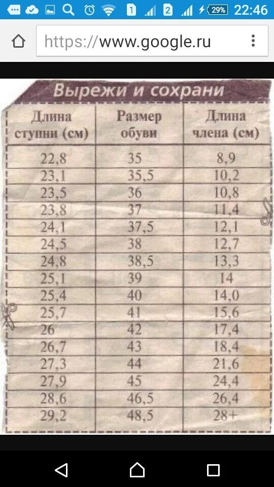 Средние полового размер у мужчин. Таблица размеров мужского полового органа. Таблица размера ноги и полового органа. Размер члена по диаметру. Размер члена толщина и длина.