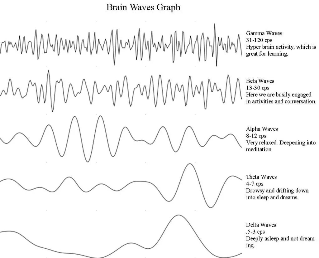 Гамма ритм ЭЭГ частота. Частотный диапазон Альфа ритма на ЭЭГ. Альфа и бета ритмы на ЭЭГ. Альфа ритм ЭЭГ.