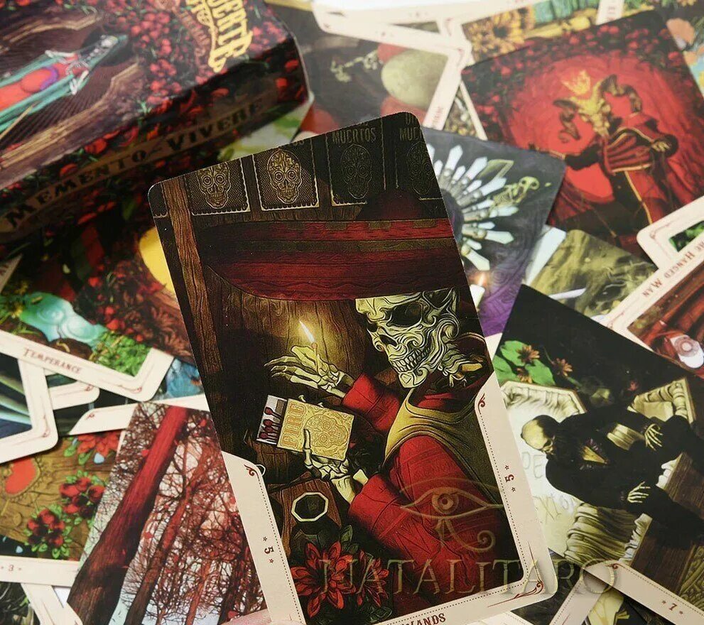 Колода санта муэрте. Колода таро санта муэрте галерея. Таро santa muerte. Таро santa muerte tarot. Карты таро санта муэрте.