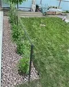 Аптека "Городские аптеки" по адресу Калинина, 113 в Пенза: цены 2025, телефон, а