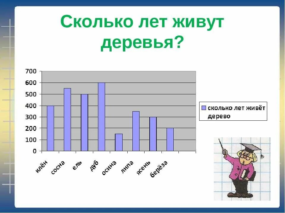 Сколько можно жить в квартире. Сколько лет живут деревья. Сколько лет может прожить дерево. Сколько максимум живут деревья. Продолжительность жизни дуба.