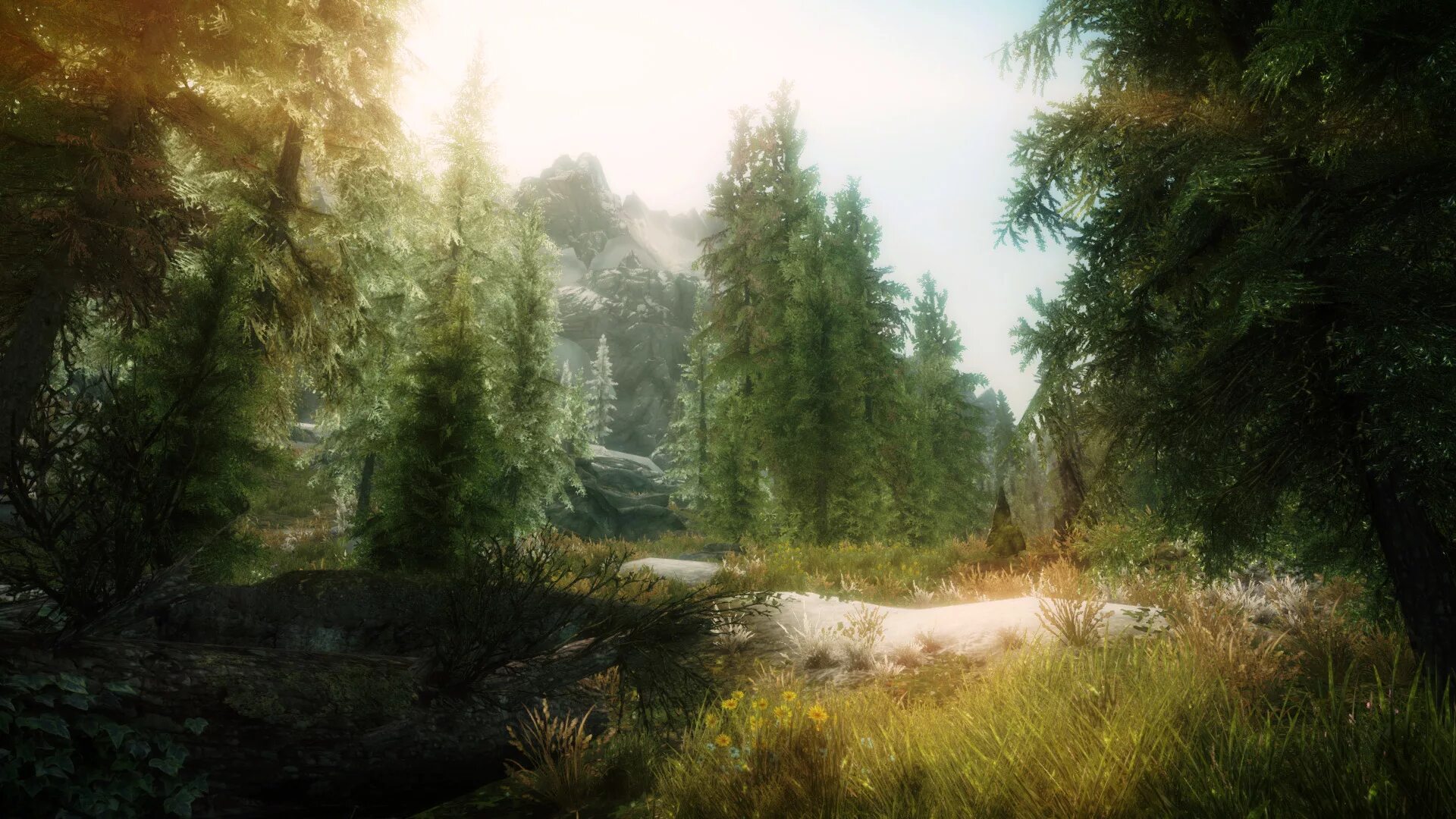 Skyrim graphics