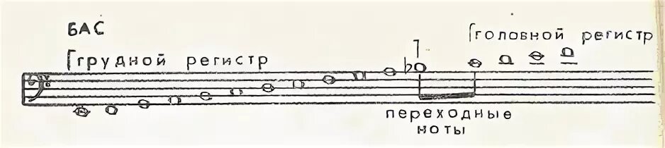 Высокий басс. Диапазон баритона и переходные Ноты. Диапазоны вокальных голосов. Голоса и октавы и регистры. Регистр в Музыке картинки.