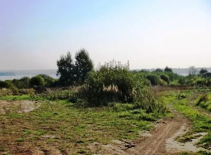 Погода в харлово кашинский