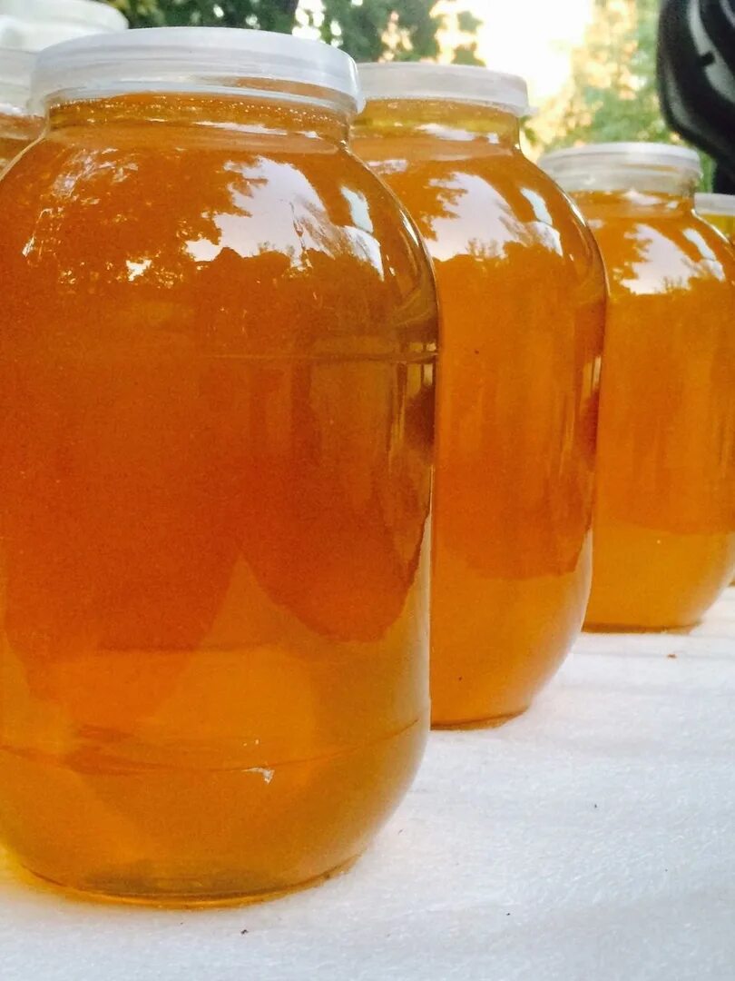 Мед разнотравье 3л свежий. Мед 3 литра разнотравье. Мед разнотравье 2023 года. Мед цветочный разнотравье. Цветочный мед купить