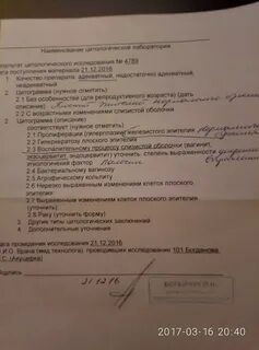 Цитограмма без особенностей