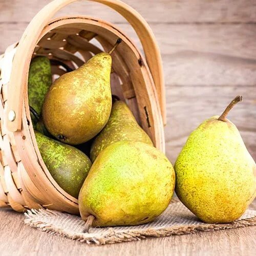 Отзыв о Груша Санта Мария Лента Сочные груши с оригинальным вкусом