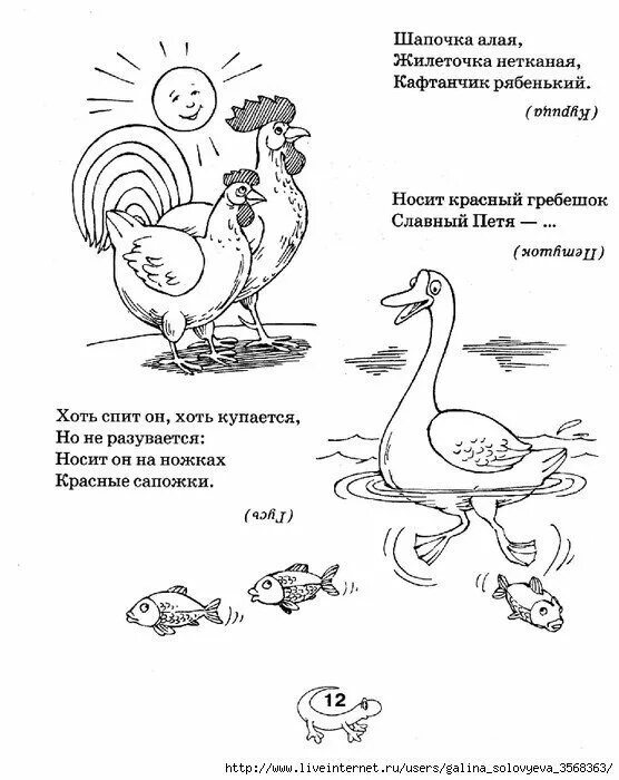Иллюстрации к загадкам для детей. Иллюстрации к загадкам для детей. Детские загадки про животных для 1 класса. Раскраски загадки. Загадки про животных с рисунками.