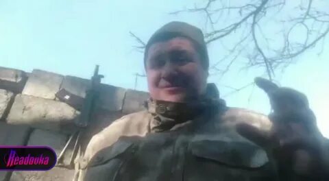 Позывной кот мурманск