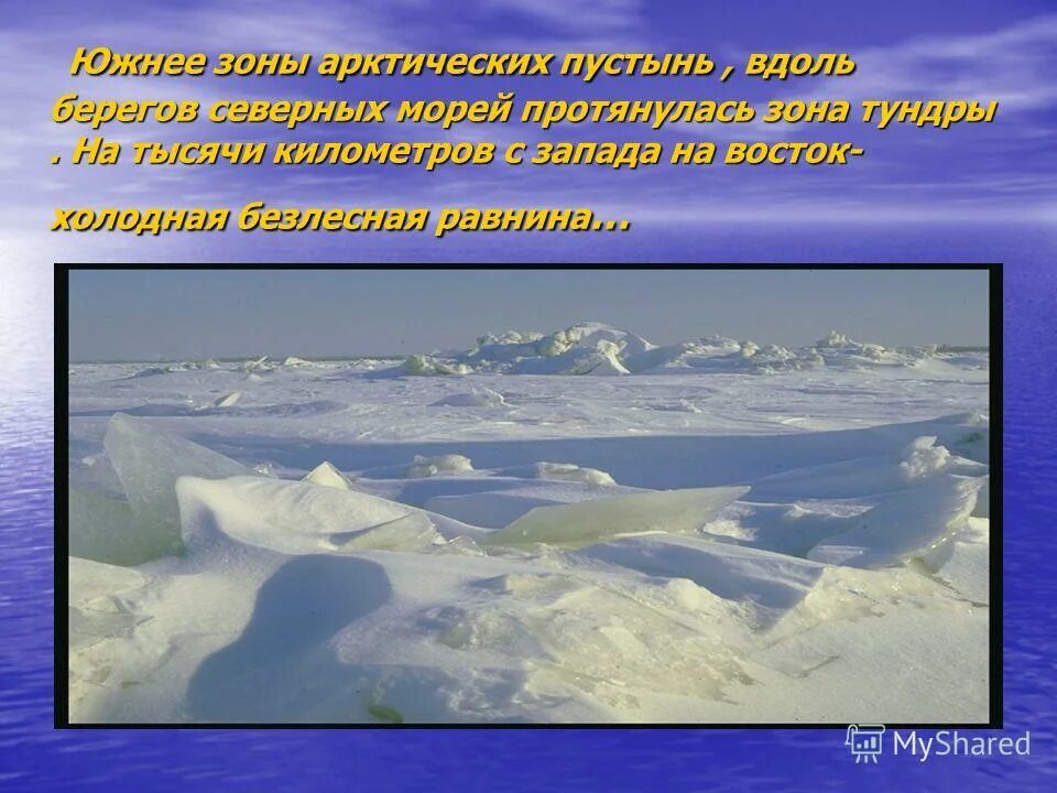 тундра характеристика природной. южнее зоны арктических пустынь протянулась безлесная. тундра окружающий мир 4 класс холодная безлесная равнина. южнее зоны арктических пустынь протянулась безлесная. особенности неживой природы тундры.