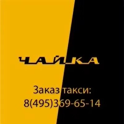 Такси чайка редкино. Такси чайка редкино