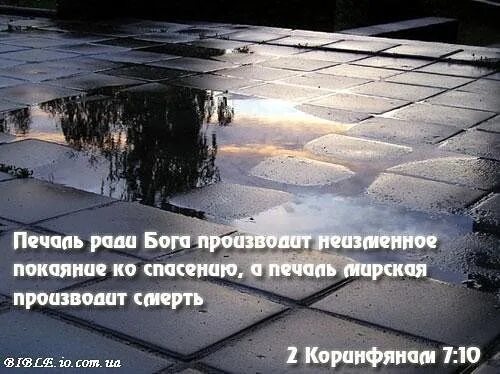 Покается спасется