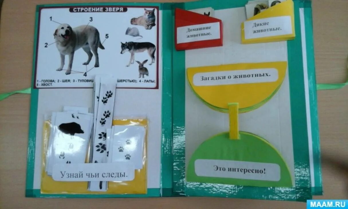 Лэпбук мир животных. Лэпбук про животных. лэпбук про домашних животных. лэпбук по животным. лэпбук животный мир.