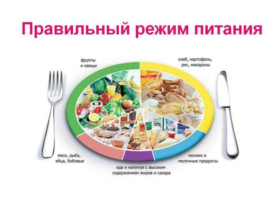 Варианты режима питания. Варианты режима питания. Варианты режима питания. График питания. Правильный режим питания.