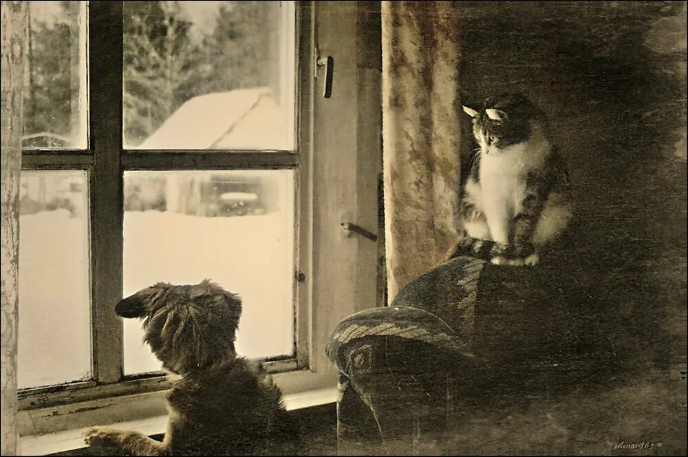Ждать череда