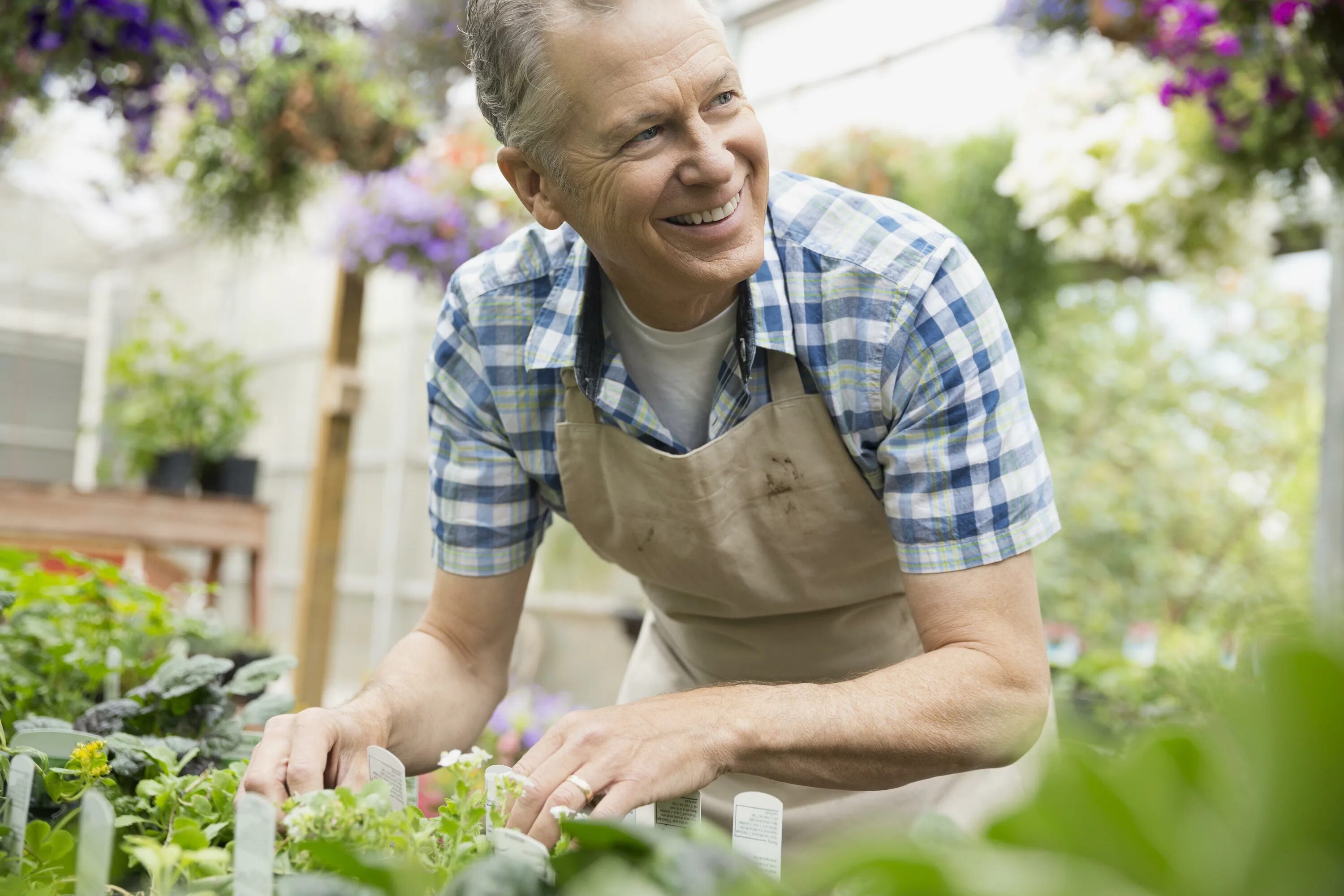 Gardening л. Садовника Владивосток. Gardener people. Gardener Apron. They like gardening