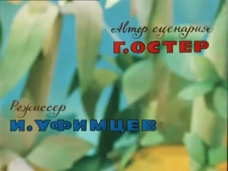 38 попугаев мультфильм 1976 бабушка удава. привет мартышке 1978. 38 попугаев мартышка. мультфильм 38 попугаев привет мартышке. 38 попугаев мультфильм 1976.