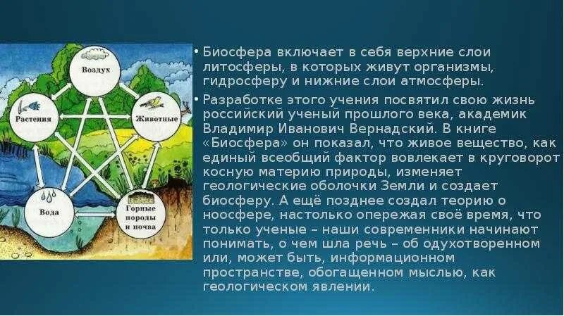 В верхнем слое воды обитает больше организмов. Биосфера земли кратко. Биосфера и человек. Биосфера гидросфера. Взаимодействие человека и биосферы.