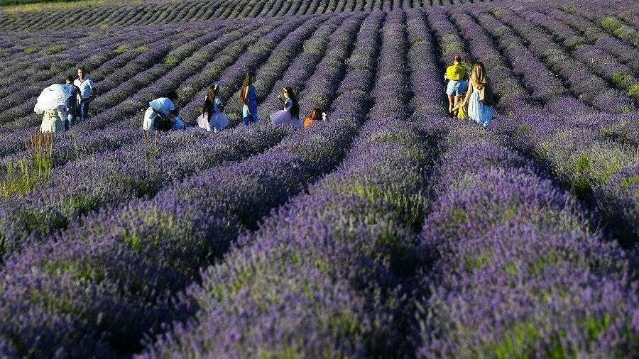 субсидии крыму